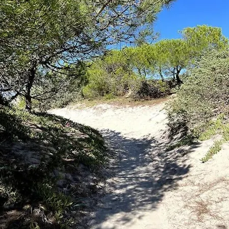 Platabeach A Garden Just A Few Steps From The Sea * Sorso
